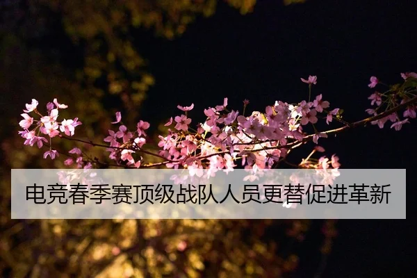 电竞春季赛顶级战队人员更替促进革新
